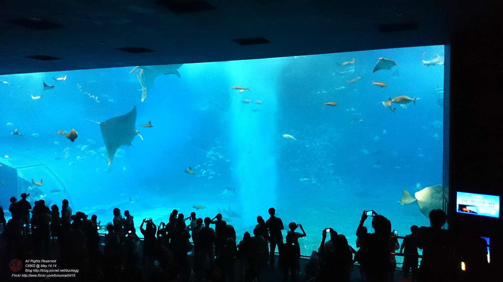 DSC_2883.jpg